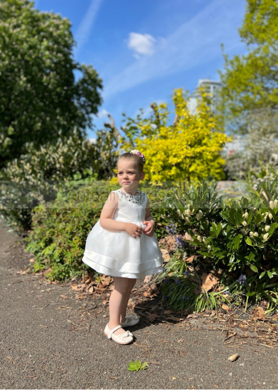 Ivory Organza Diamond Crystals Embellished Flower Girl Dress